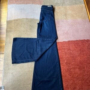 Women's Pilcro and the Letterpress Flare  Jeans (EUC, size 25)